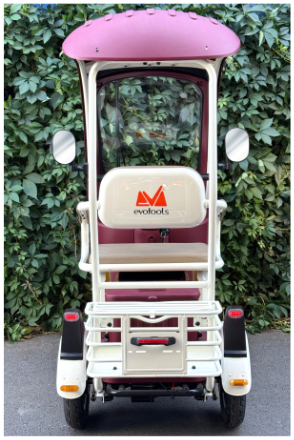 Triciclu Electric Persoane Cabina Deschisa Dotos TRP1000CD EvoTools / C: Alb/Multicolor [3]