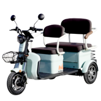 Vehicule electrice - Triciclu Electric Persoane Bancheta Dubla Scorilo TRP1200 / C: Verde