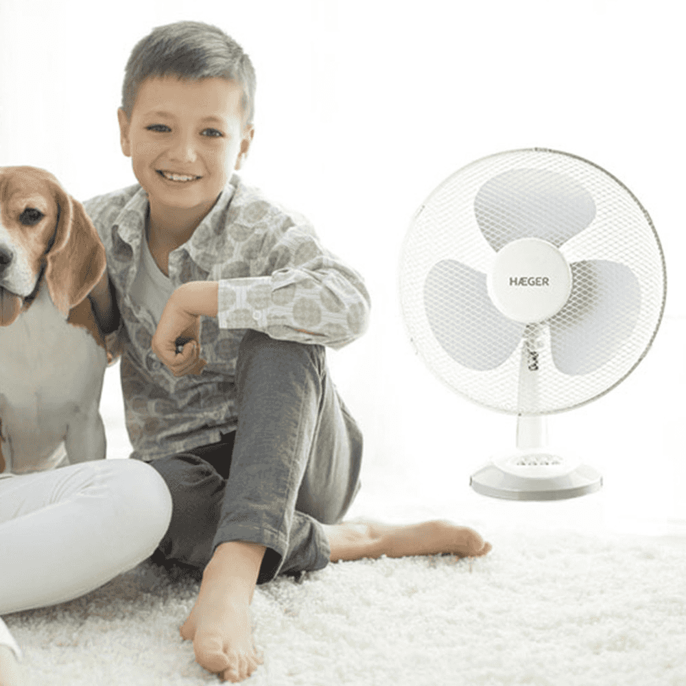 Ventilator de masa HAEGER TABLE WIND, Diametru 40 cm, Putere 50 W, 3 viteze, Oscilatie 90 grade, Functionare silentioasa [2]