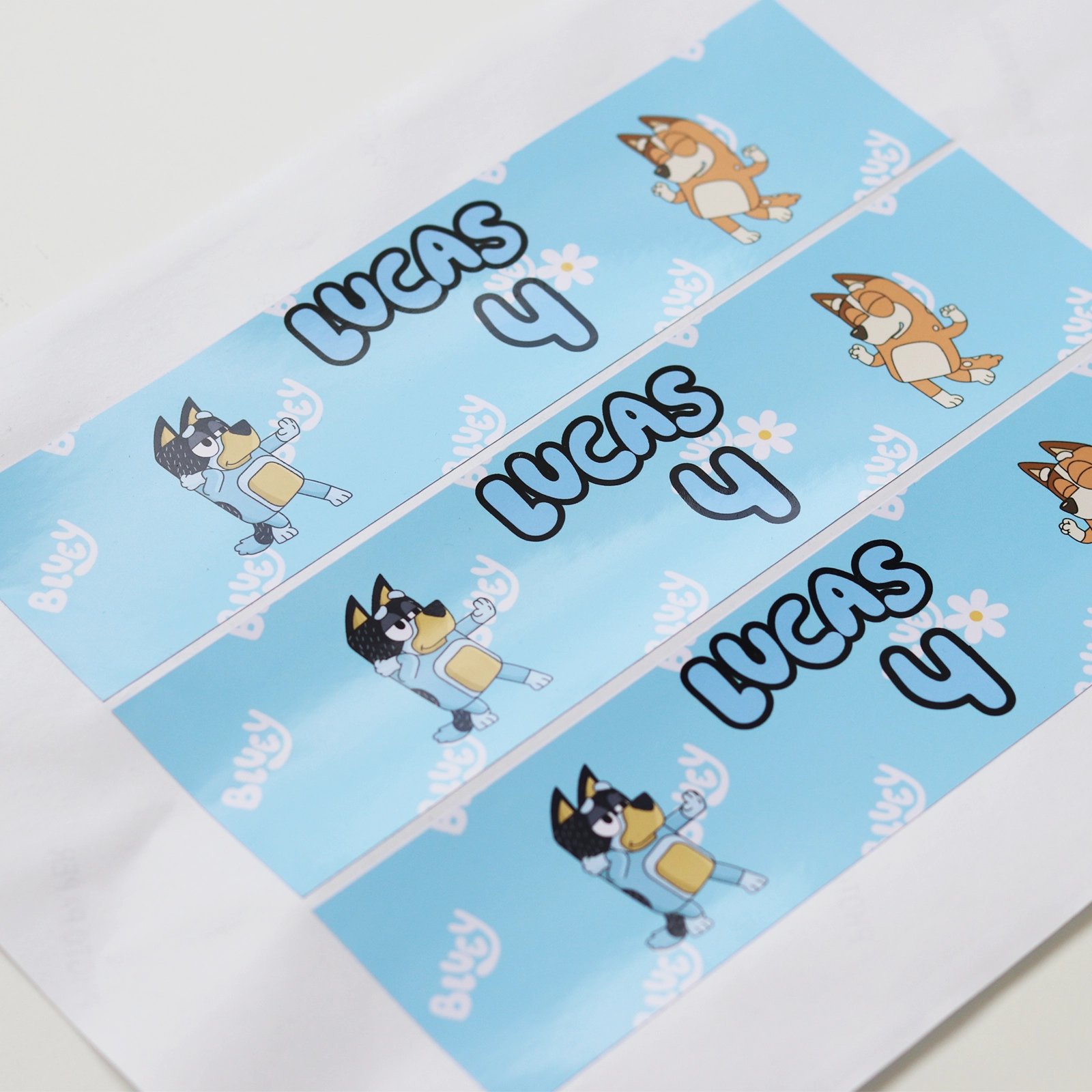 Kit petrecere Bluey personalizat [9]