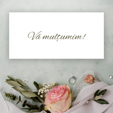 Plic bani nuntă cu tort, lumânări și inele [2]