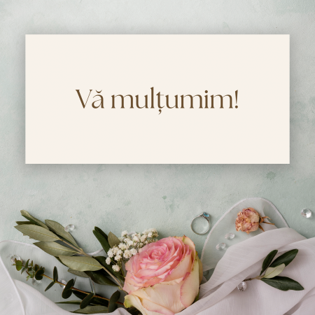 Plic bani nuntă cu tort și inele [2]