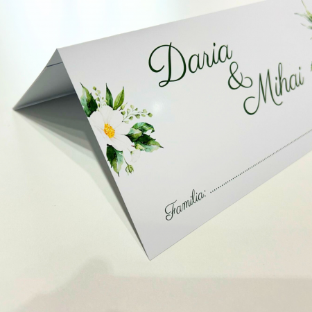 Plic bani nuntă, design floral verde [1]