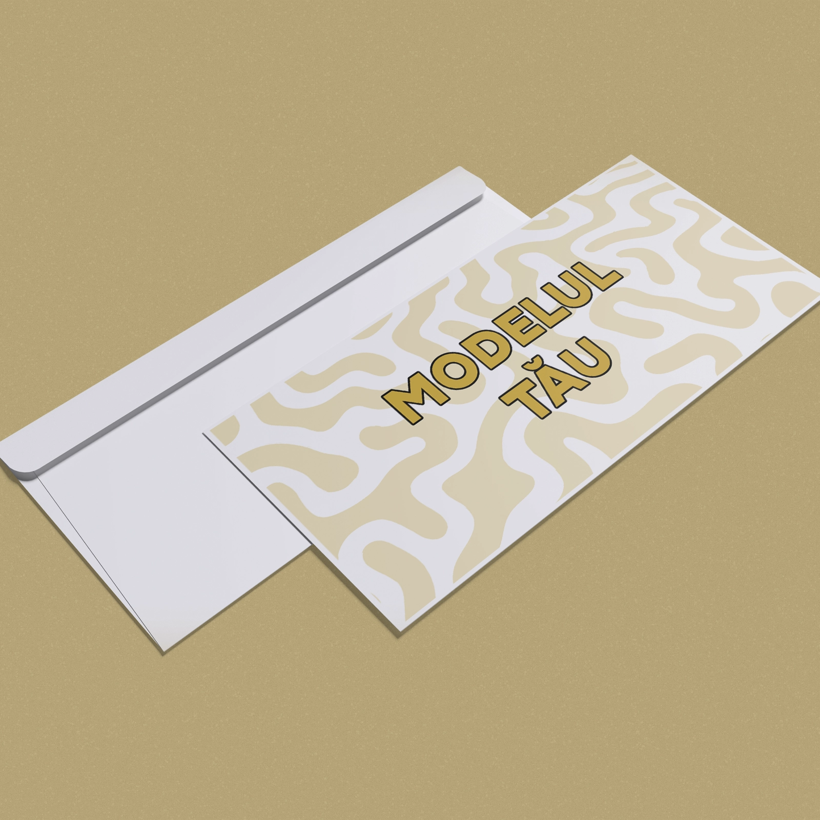 Plicuri - Plic DL personalizat