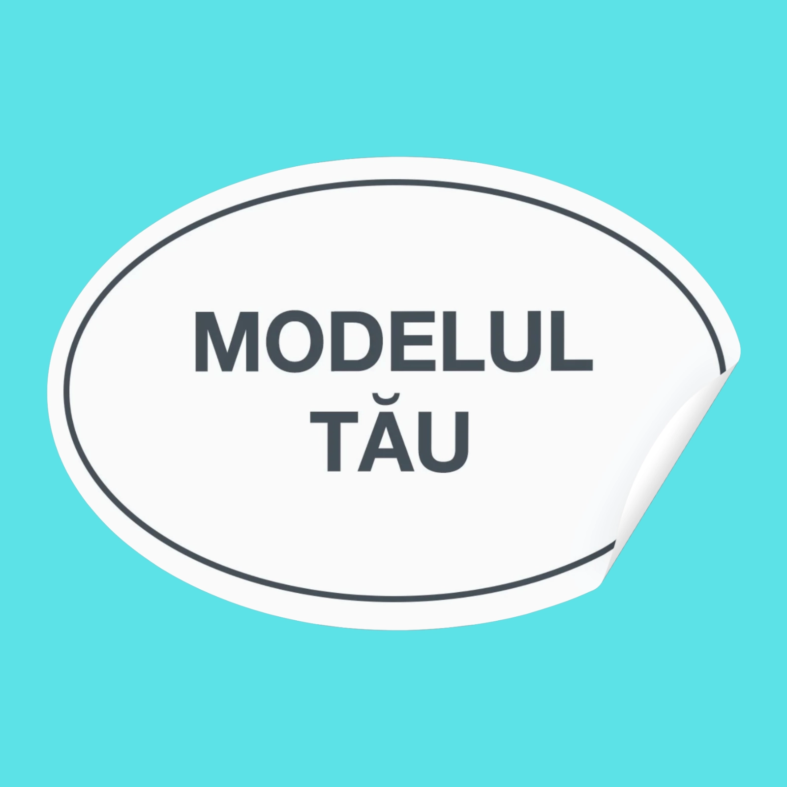 Print - Stickere ovale personalizate