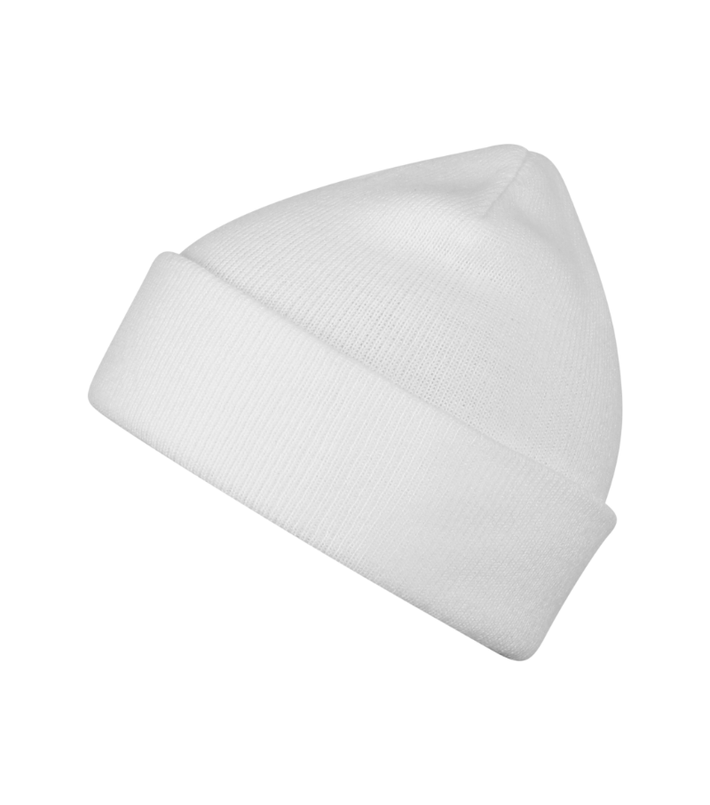 Caciula BEANIE 315 [2]