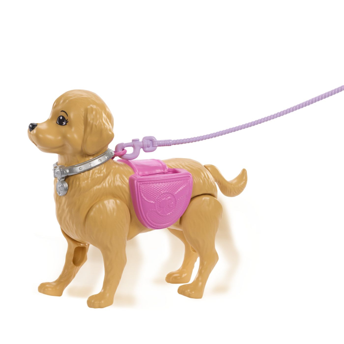 BARBIE FAMILY AND FRIENDS SET PAPUSA BARBIE MALIBU PLIMBARE CU CATELUL [8]