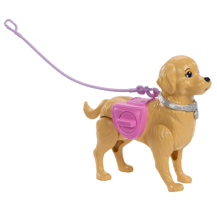 BARBIE FAMILY AND FRIENDS SET PAPUSA BARBIE MALIBU PLIMBARE CU CATELUL [9]