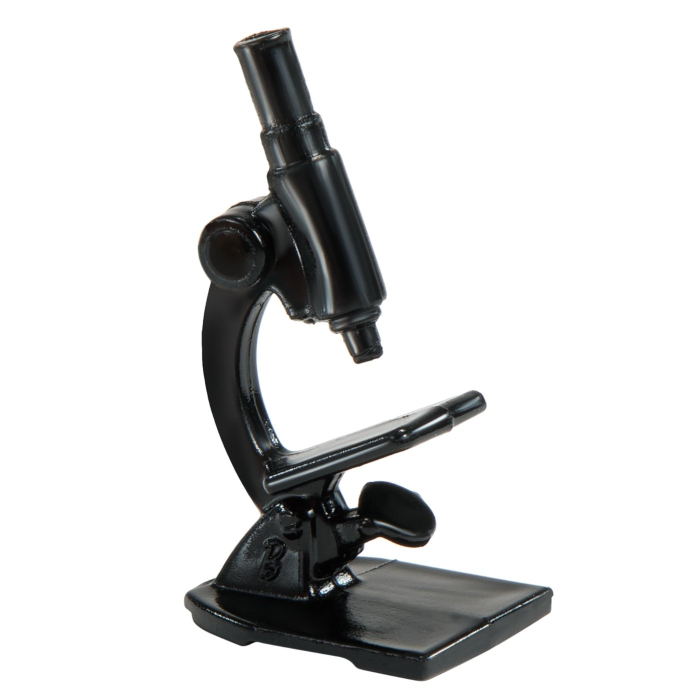 BARBIE PAPUSA BARBIE OM DE STIINTA [5]