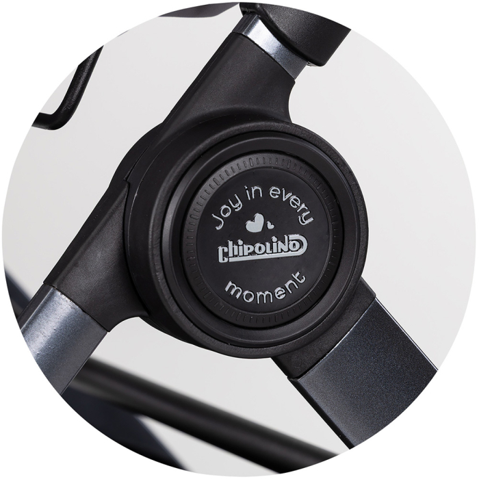Carucior Chipolino Pearl 2 in 1 platinum [12]
