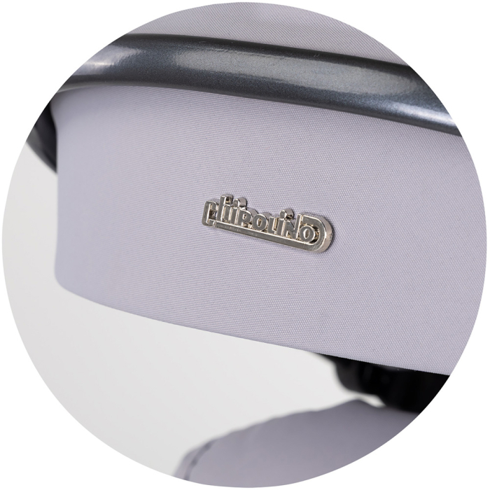 Carucior Chipolino Pearl 2 in 1 platinum [14]