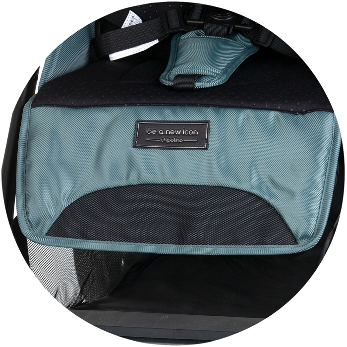 Carucior sport Chipolino Insta basil [10]