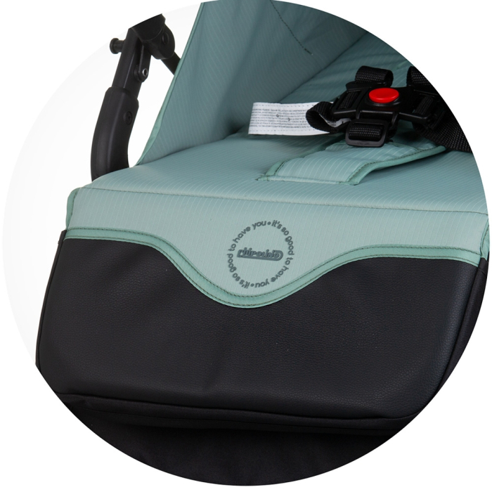 Carucior sport Chipolino Pixie basil [8]
