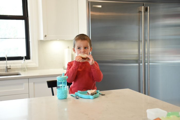 FARFURIE COMPARTIMENTATA DIN SILICON CU VENTUZA, MELII, RECHIN [4]