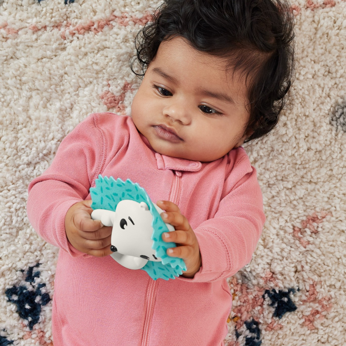 FISHER PRICE JUCARIE ZORNAITOARE ARICI [7]