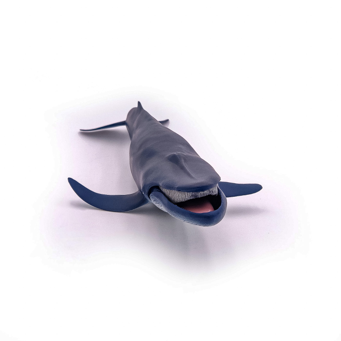 PAPO FIGURINA BALENA ALBASTRA [5]