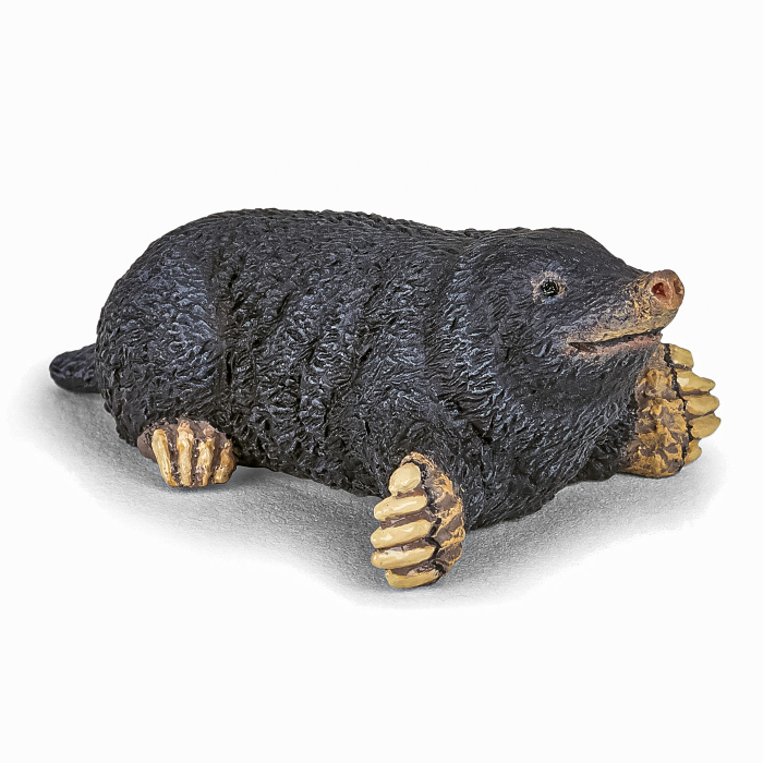 PAPO FIGURINA CARTITA [1]