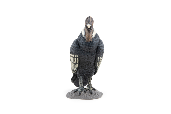 PAPO FIGURINA CONDOR [4]