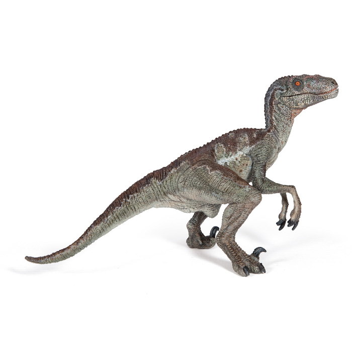 PAPO FIGURINA DINOZAUR VELOCIRAPTOR [1]