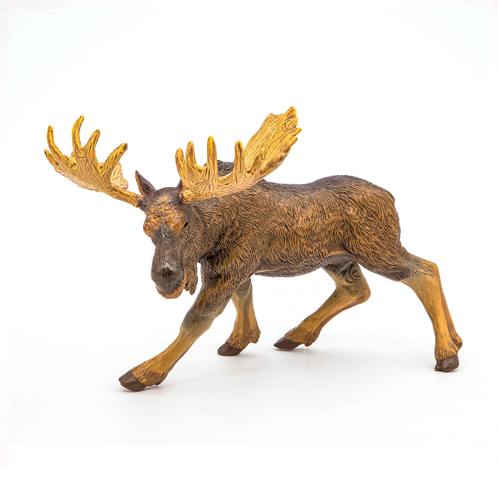 PAPO FIGURINA ELAN [7]