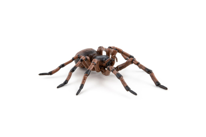 PAPO FIGURINA PAIANJEN [5]