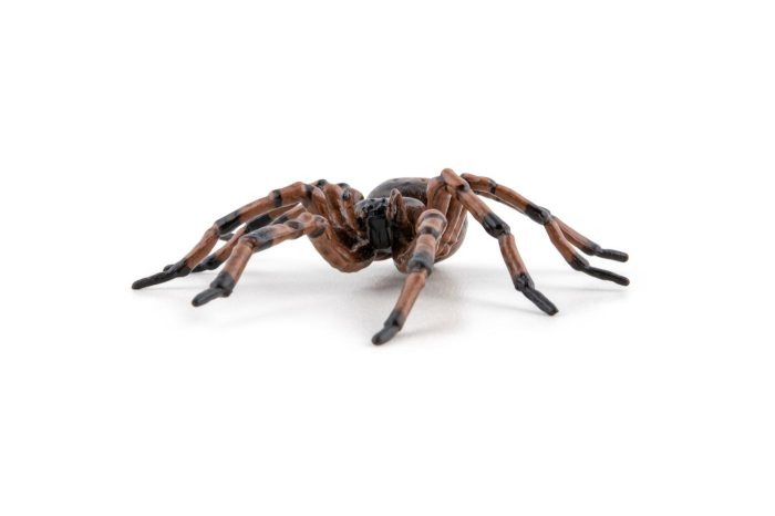 PAPO FIGURINA PAIANJEN [7]