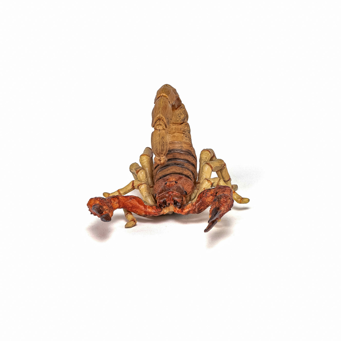 PAPO FIGURINA SCORPION [4]
