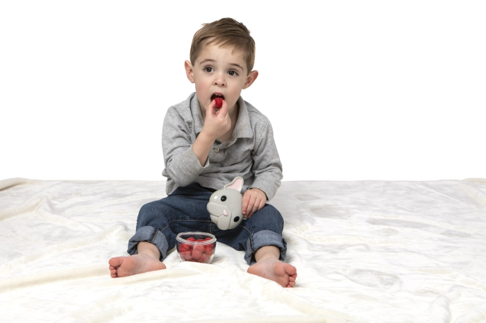 RECIPIENT HRANA BEBE, MELII, MODEL BULLDOG [3]