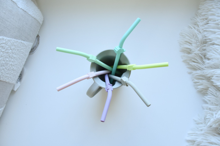 SET 6 BUC PAIE SILICON REUTILIZABILE MODEL ANIMALE MELII [5]