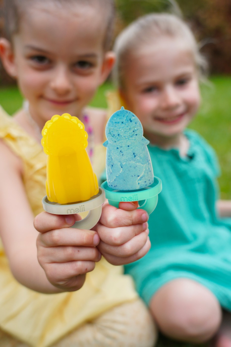 SET 6 FORME DE INGHETATA CU TAVA, MELII, MODEL ANIMALE [3]