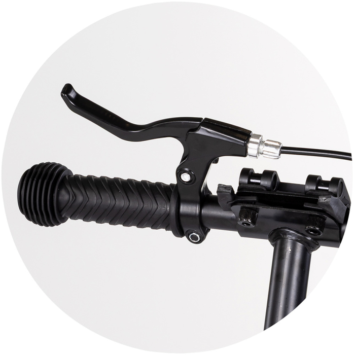 Trotineta Chipolino Swift black [8]