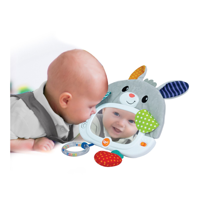 WINFUN JUCARIE IEPURAS [5]