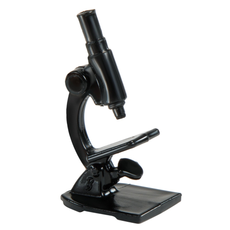 BARBIE PAPUSA BARBIE OM DE STIINTA [4]