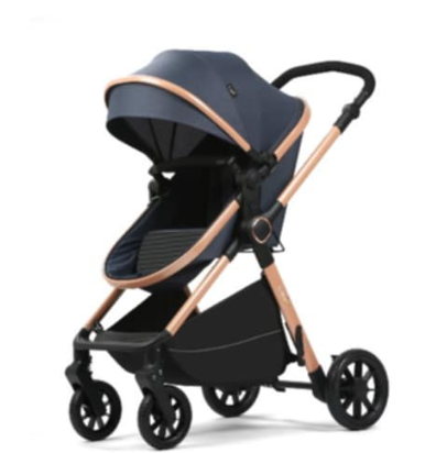 Carucior 2 in 1, Cu Suspensie, Geanta inclusa, Strangere compacta, Maner reversibil, Blue [3]