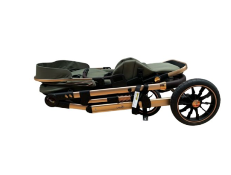 Carucior copii, 0-3 ani, Cu suspensii, Landou reversibil, Pozitie de somn, Red [5]