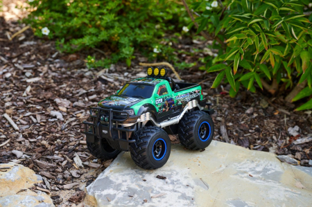 DICKIE TOYS MASINA CU TELECOMANDA FORD F150 RTR JUNGLE WRESTLER 30CM [9]