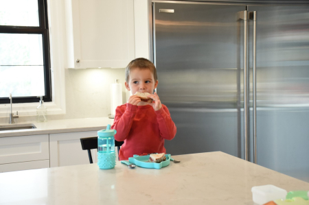 FARFURIE COMPARTIMENTATA DIN SILICON CU VENTUZA, MELII, RECHIN [3]