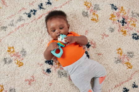 FISHER PRICE JUCARIE ZORNAITOARE CERB [3]