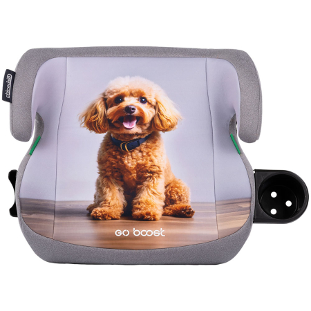 Scaun si scoica auto - Inaltator auto Chipolino Go Boost I-Size 125-150 cm poodle