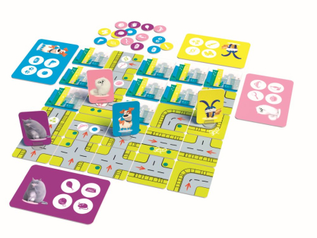 JOCUL SINGURI ACASA [1]