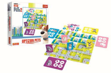 JOCUL SINGURI ACASA [2]