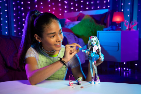 MONSTER HIGH PAPUSA FRANKIE STEIN CU ANIMALUT SI ACCESORII [2]