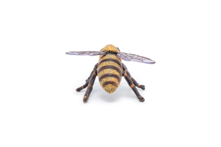 PAPO FIGURINA ALBINA [4]