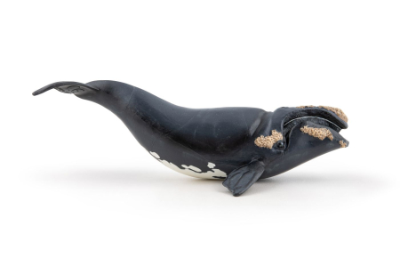 PAPO FIGURINA BALENA [2]