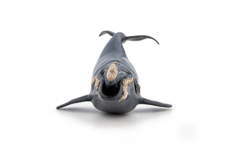 PAPO FIGURINA BALENA [4]