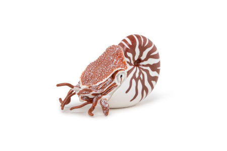 PAPO FIGURINA NAUTILUS [3]