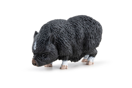 PAPO FIGURINA PORC VIETNAMEZ [4]