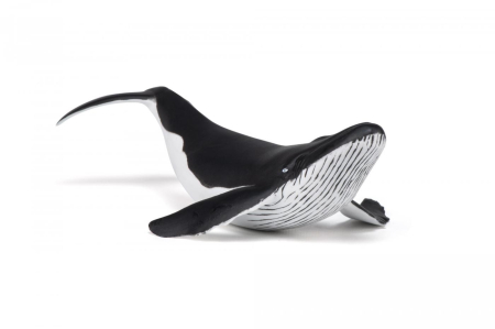 PAPO FIGURINA PUI DE BALENA [4]