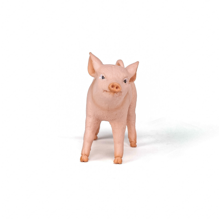 PAPO FIGURINA PURCICA [3]