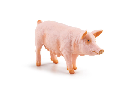 PAPO FIGURINA SCROAFA [2]